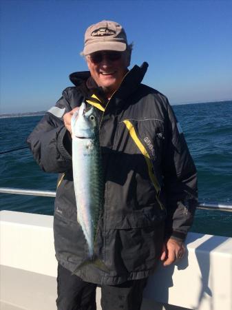 2 lb 3 oz Mackerel by Chris Enstone