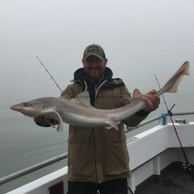 14 lb Smooth-hound by Unknown