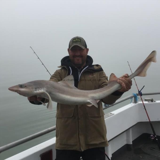 14 lb Smooth-hound (Common) by Unknown