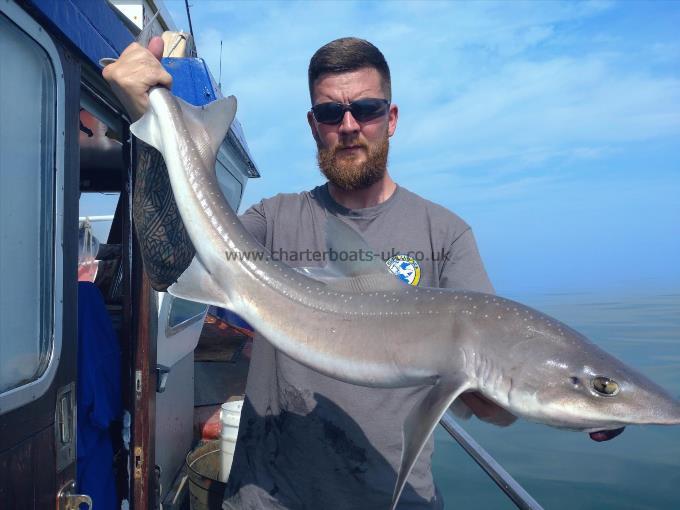 14 lb Smooth-hound (Common) by Ollie
