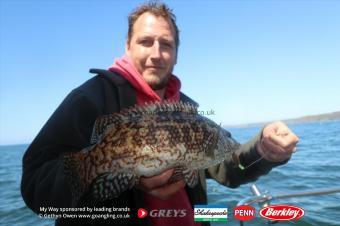 3 lb Ballan Wrasse by Mark