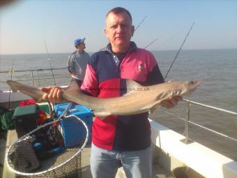 11 lb 4 oz Starry Smooth-hound by bernie {the dent}