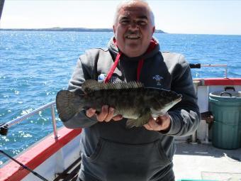 2 lb 8 oz Ballan Wrasse by Unknown