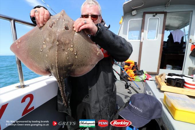 8 lb Thornback Ray by Cormac