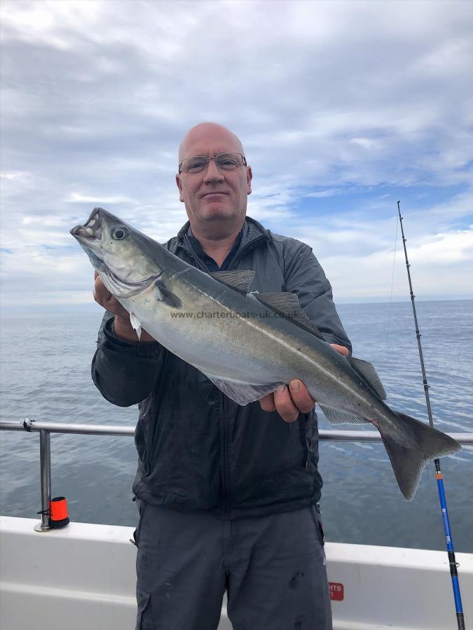 4 lb Coalfish (Coley/Saithe) by Ian Hill