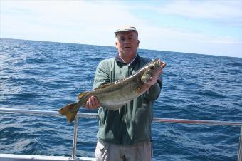 10 lb Pollock by Tony Case