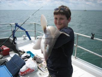 8 lb 8 oz Smooth-hound (Common) by k millham