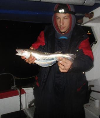 1 lb 6 oz Whiting by Jim Jam