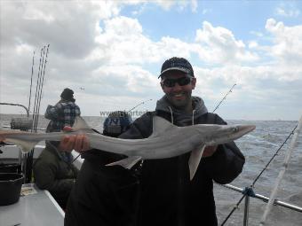 5 lb 5 oz Smooth-hound (Common) by Tony