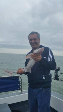 7 lb 1 oz Smooth-hound by Unknown