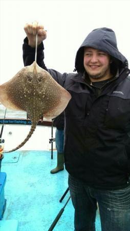 3 lb Thornback Ray by Unknown