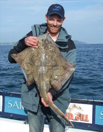 15 lb Undulate Ray by Pieter Beelen