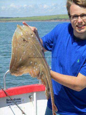 5 lb Small-Eyed Ray by Unknown