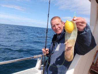 12 oz Lemon Sole by Unknown