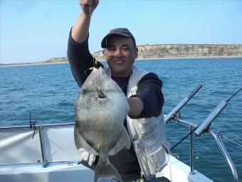 3 lb 6 oz Trigger Fish by John