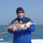 8 lb 4 oz Pollock by Allan