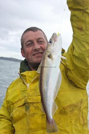 1 lb 8 oz Whiting by Derek