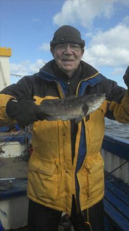 3 lb Ballan Wrasse by George Wordsworth