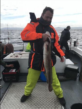 10 lb Ling by Stew
