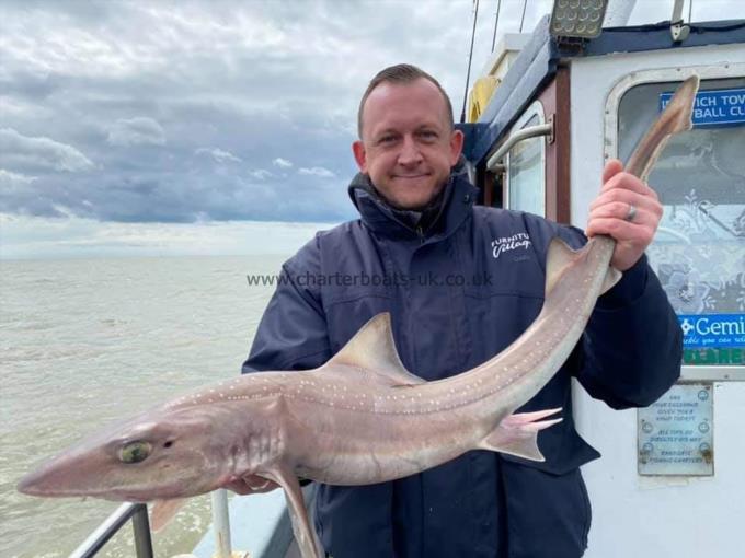 12 lb Smooth-hound (Common) by Darren