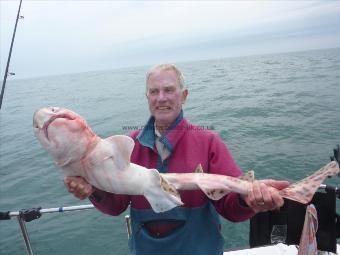 14 lb 8 oz Bull Huss by Joe Barnikel