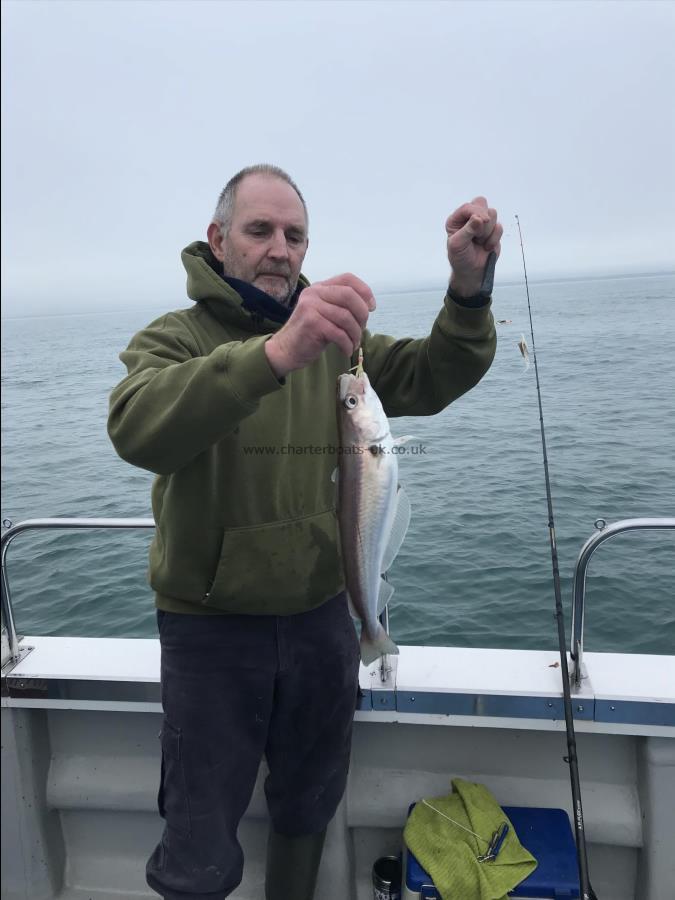 1 lb 5 oz Whiting by Steve B