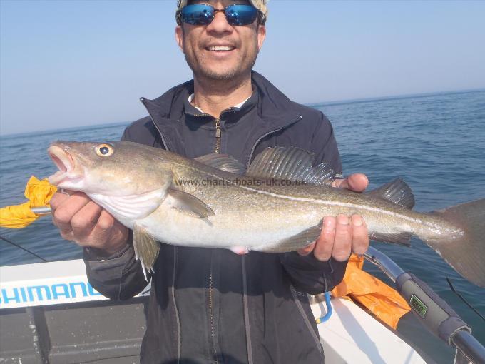 5 lb 5 oz Cod by Dennis.