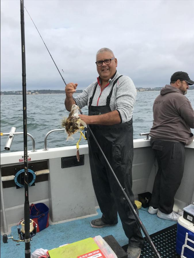 1 lb 6 oz John Dory by Rob