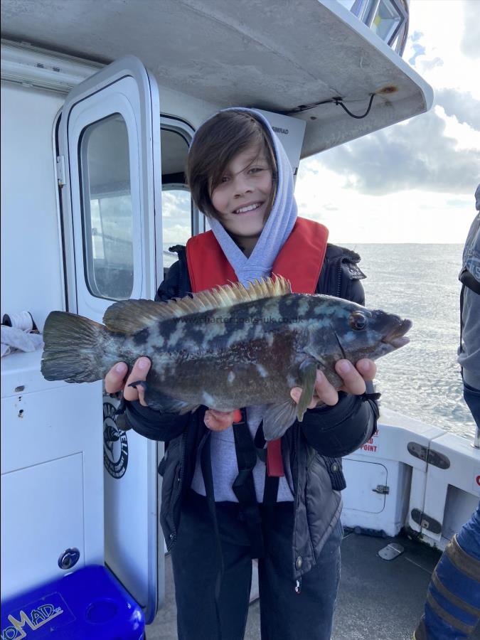 3 lb 8 oz Baillon's Wrasse by Leo Burrows