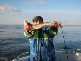 1 lb 5 oz Lesser Spotted Dogfish by David
