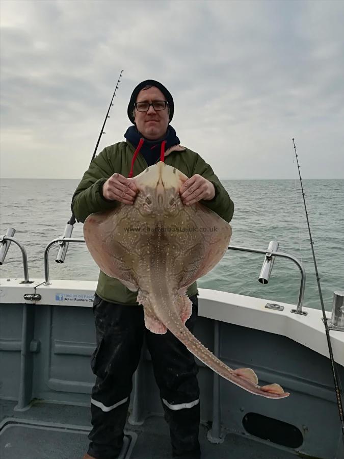 16 lb Undulate Ray by Sean