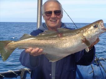 7 lb 8 oz Pollock by caught by les one of many