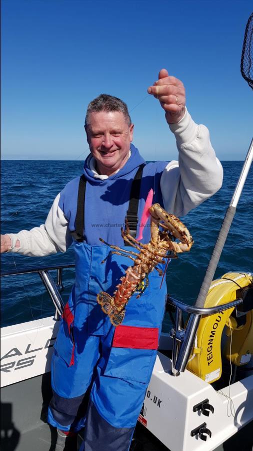 2 lb 8 oz Lobster by Malc