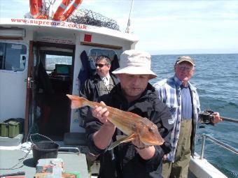 4 lb Tub Gurnard by adam davies