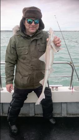 3 lb Smooth-hound by Bob Marshall