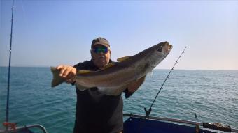 11 lb Pollock by Stephen Wake