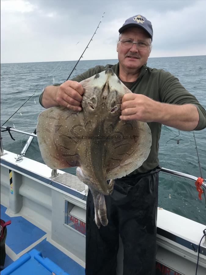 10 lb Undulate Ray by Phil