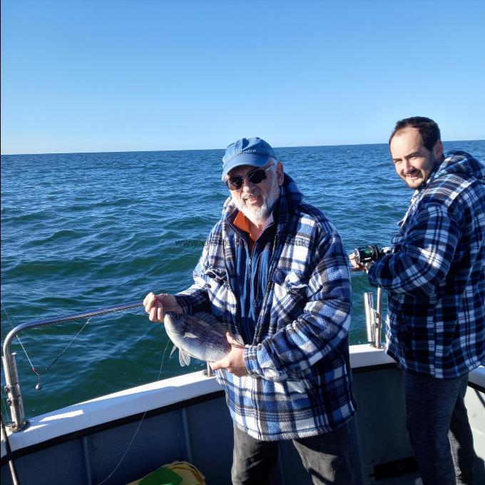 2 lb Black Sea Bream by Stuart