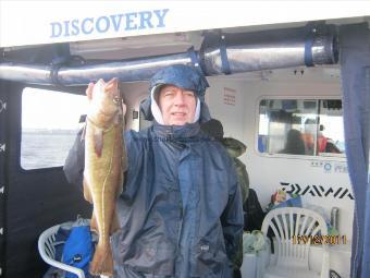 2 lb 8 oz Cod by Unknown