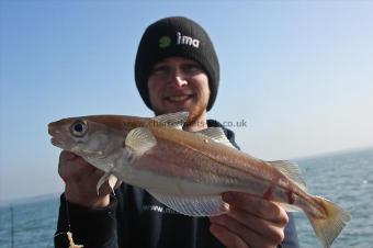 1 lb Whiting by Ross