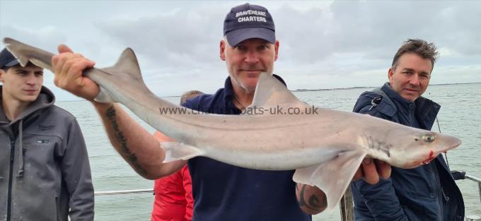 12 lb 3 oz Starry Smooth-hound by Phil