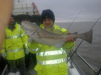 12 lb 8 oz Cod by adam mavelek