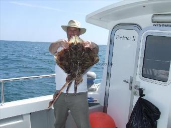 11 lb Undulate Ray by Kerry