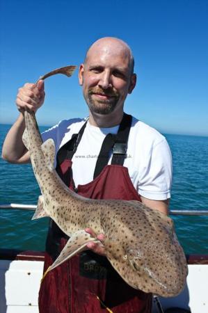 11 lb Bull Huss by Andrew