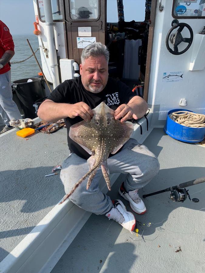 4 lb Thornback Ray by Unknown