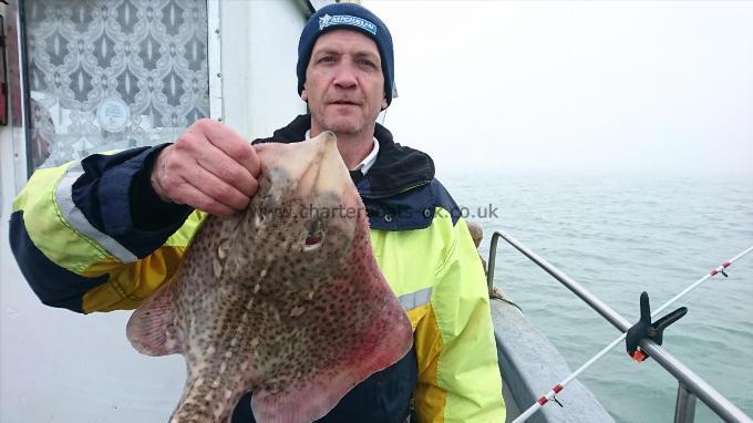 7 lb 3 oz Thornback Ray by Andy from sheerness