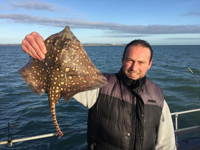 5 lb Thornback Ray by Lee from Kent