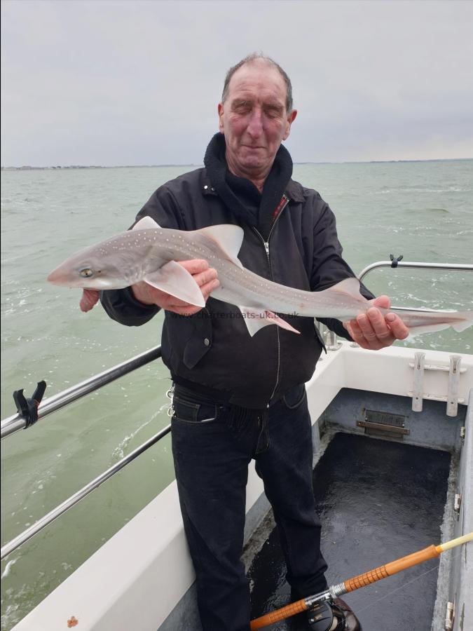 5 lb Starry Smooth-hound by Bob Marshall