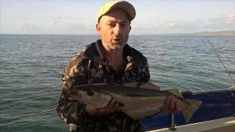 6 lb 8 oz Pollock by Stephen Wake