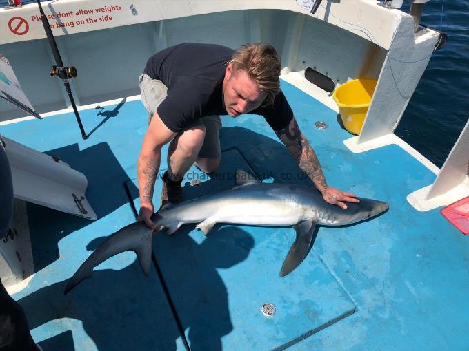 50 lb Blue Shark by Jordy J